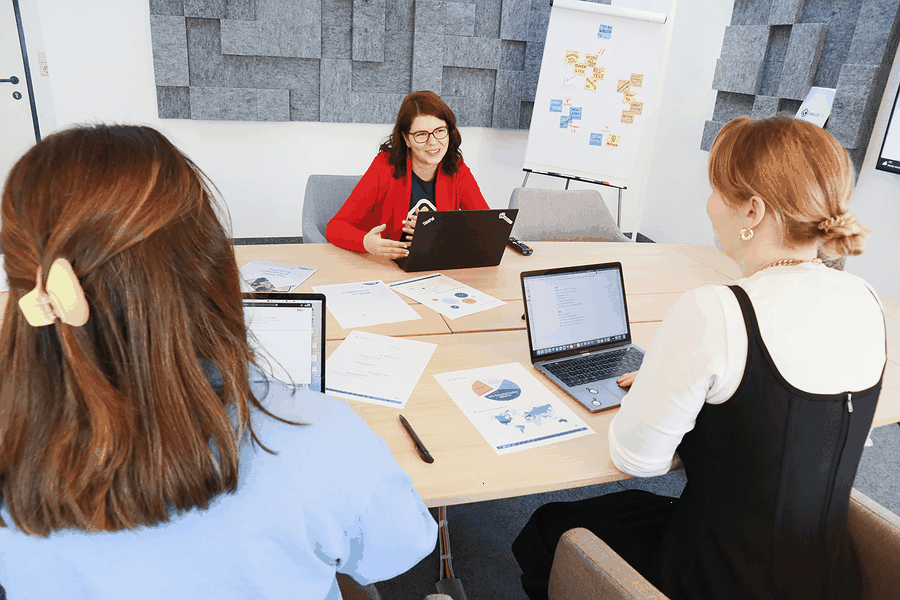 professional energy audit, sustainable business dashboard, Kazakhstan office